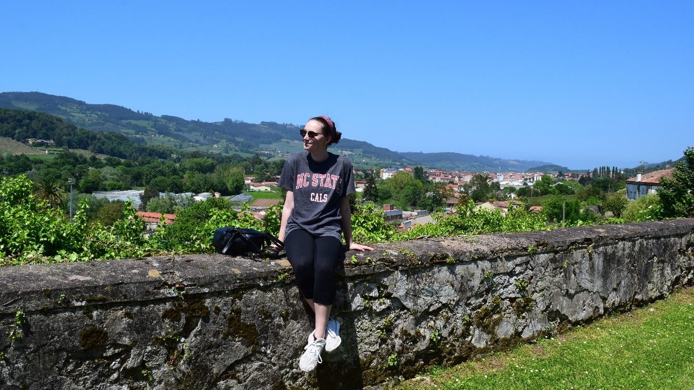 View from the church of San Juan de Amandi overlooking Villaviciosa