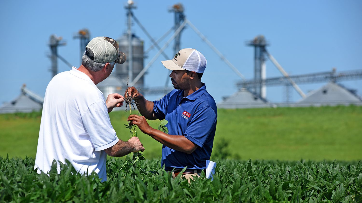 Agent and farmer in a field looking at soybean plants